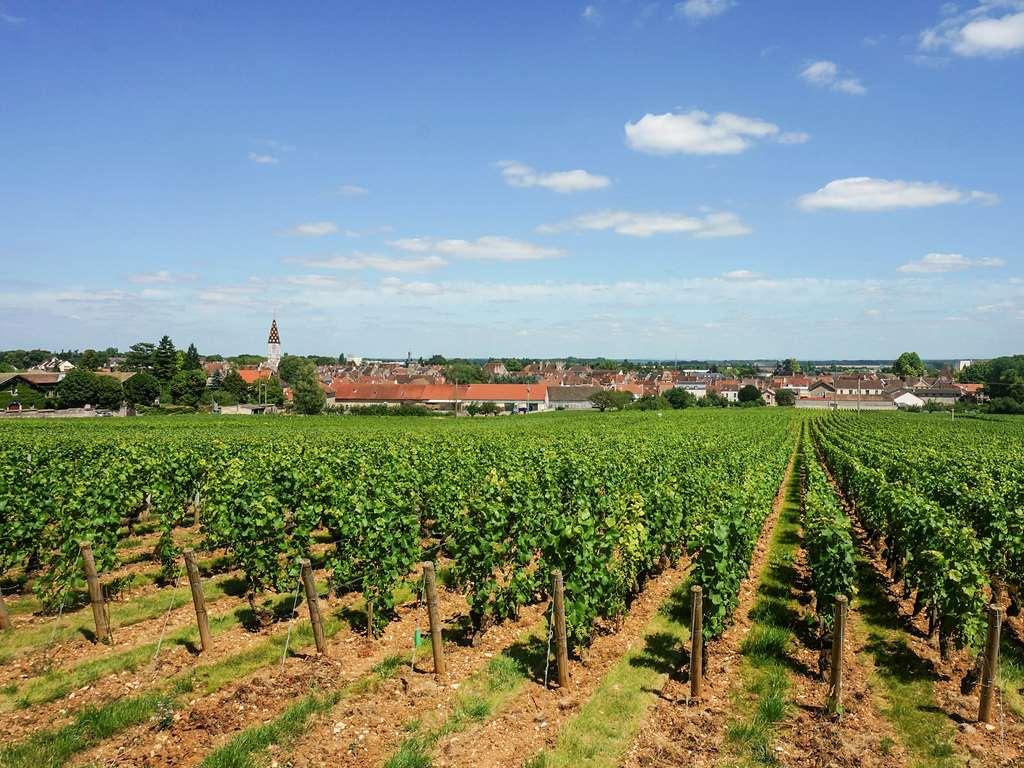 Ibis Budget Nuits Saint Georges Udogodnienia zdjęcie